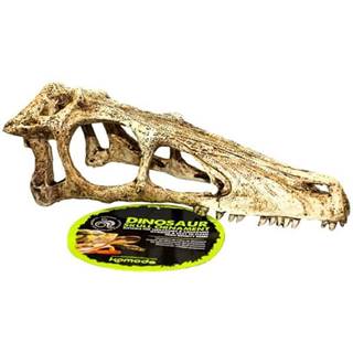 KOMODO Dekorácie umelá - lebka Raptor L 24x8x9cm