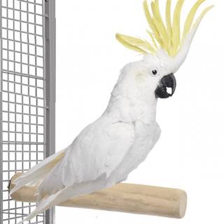 Parrotclub Bidlo pre papagáje z kávovníka rovné XL