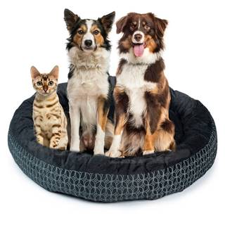 Pethaus Pelech pre psa a mačku - čierny | veľkosť L