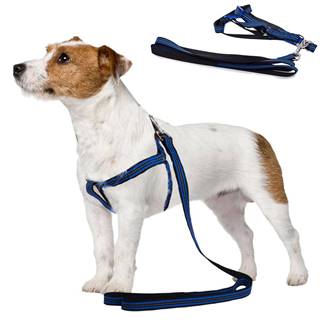 Verk  Postroj pre psa s vodítkom 125cm - reflexný | modrý značky Verk