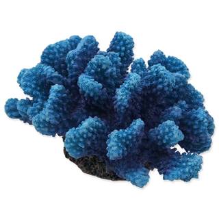 Aqua Excellent Dekorácia Morský korál modrý 14, 5 x 10, 5 x 7, 4 cm