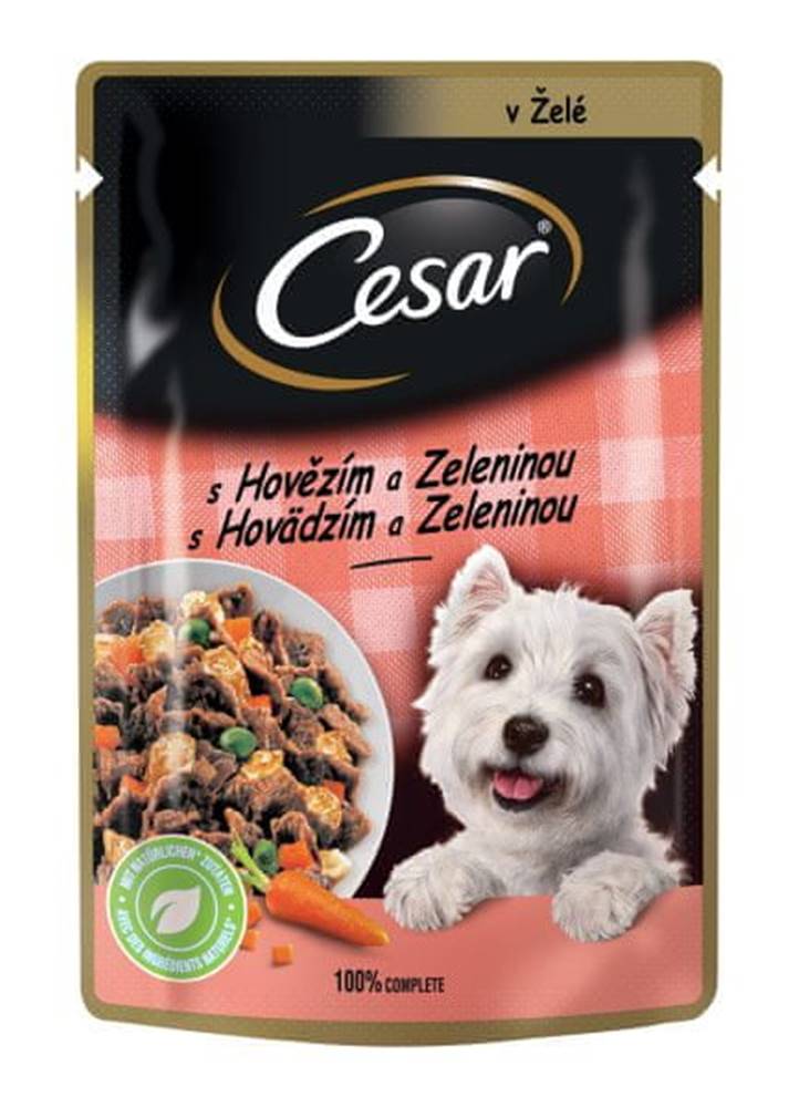 Cesar  Kapsička pre dospelých psov s jemným hovädzím a mrkvou v želé 24x100 g značky Cesar