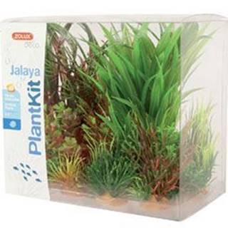 Zolux  Rastliny akvarijné JALAYA 3 sada značky Zolux
