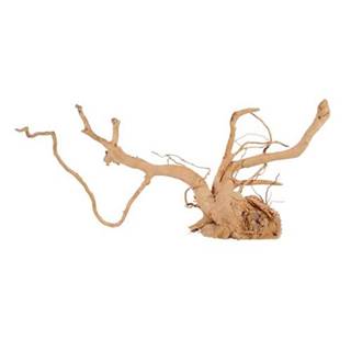 Zolux Dekorácia do akvárií SPIDER ROOT 50-60cm prírodné naplavené drevo