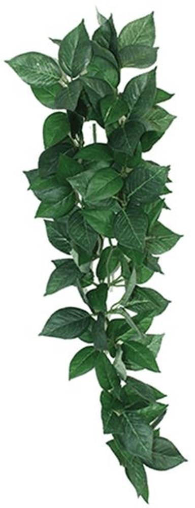 KOMODO  Dekorácie umelá rastlina - popínavá Sumatra 13cm značky KOMODO