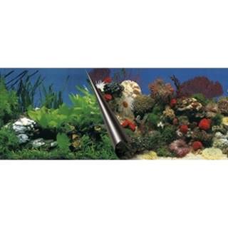EBI Pozadie akváriové Stone+Coral 60 x 30 cm