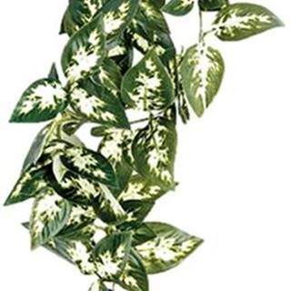 KOMODO  Dekorácie umelá rastlina - popínavá Borneo 23cm značky KOMODO