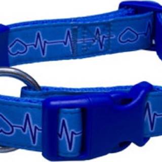 4DAVE Obojek popruh EKG 2, 0x38-60cm - modrý