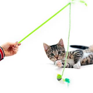 Nobby Hračka pre mačky,  udice s perím a vtáčikom,  zelená