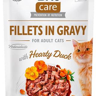 Brit  Care Cat Fillets in Gravy with Hearty Duck 24x85 g značky Brit