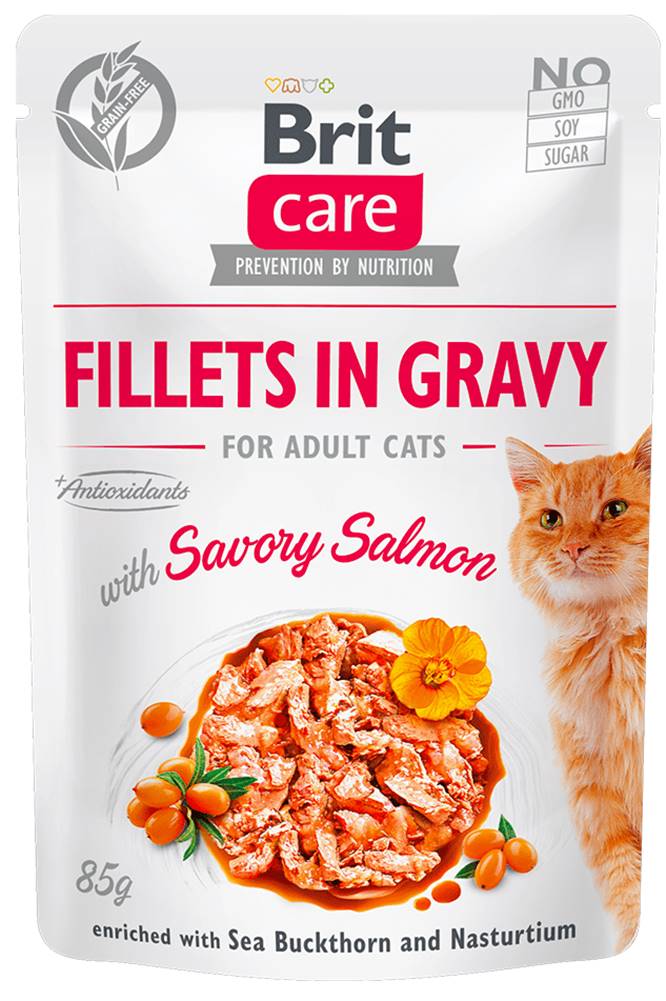 Brit  Care Cat Fillets in Gravy with Savory Salmon 24x85 g značky Brit