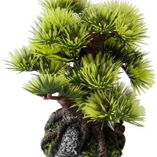 EBI  Dekorácie do akvária- bonsai borovica 9, 5cm Aqua Della značky EBI