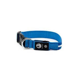 limaya  LED svietiaci obojok pre psov Blue - white thin strip značky limaya
