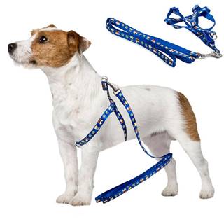 Verk Postroj pre psa s vodítkom 125cm | modrý