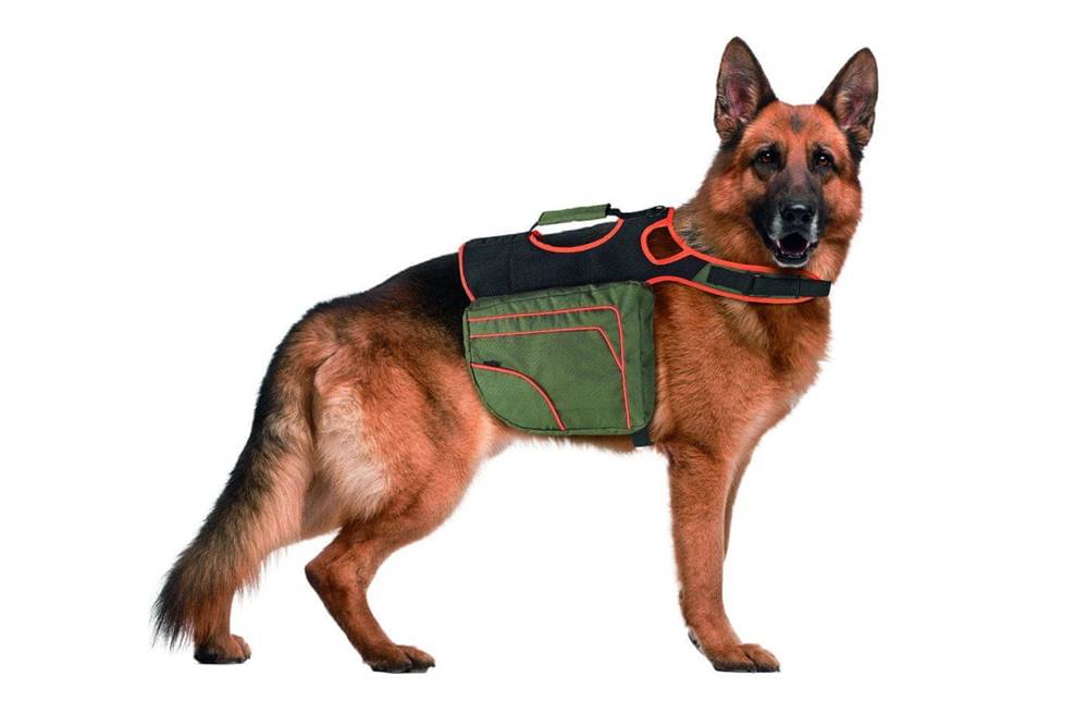 Karlie  Batoh pre psov zeleno-oranžový reflexný veľ. XL značky Karlie