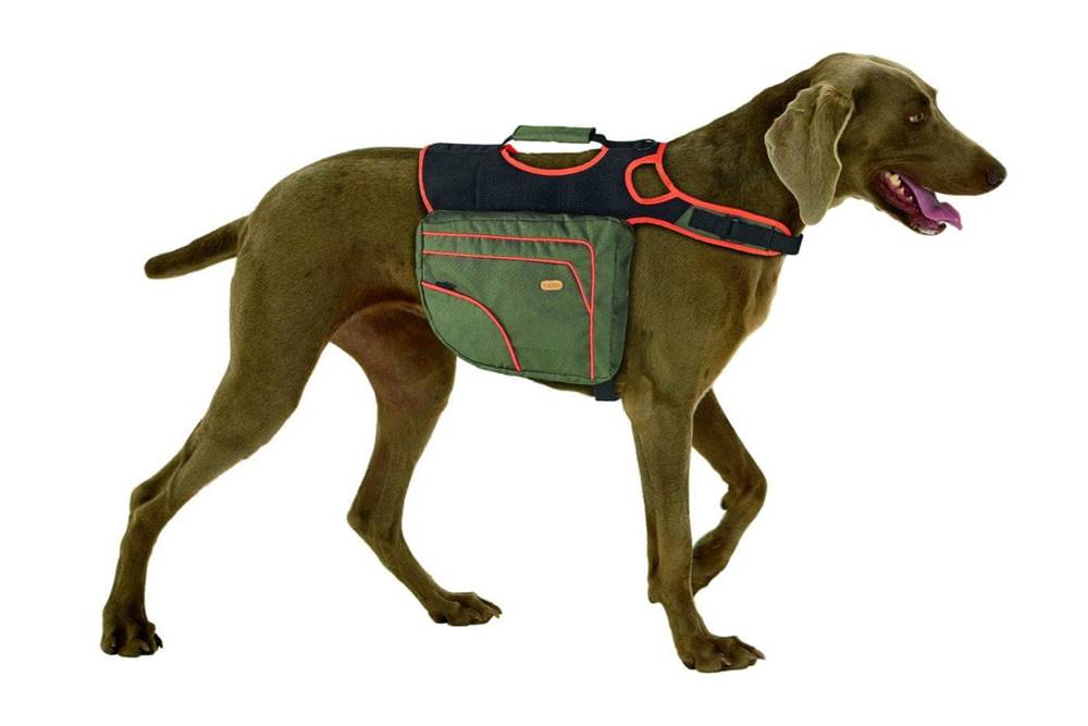 Karlie  Batoh pre psov zeleno-oranžový reflexný veľ. L značky Karlie